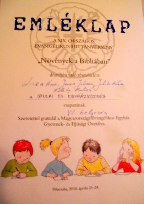 DSCN0888.JPG - small