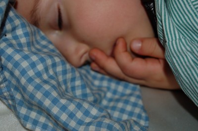 DSC_0114.JPG - small