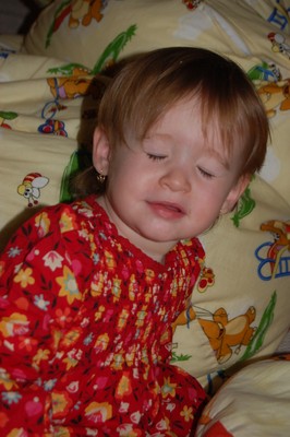 DSC_0094.JPG - small