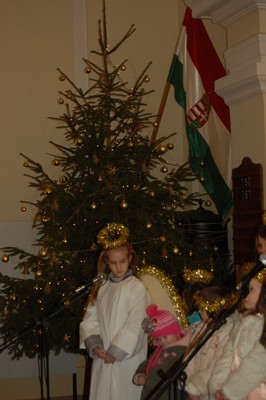 DSC_0158.JPG - small