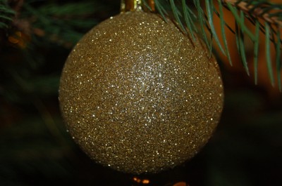 DSC_0172.JPG - small