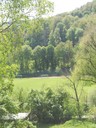 DSCN1010.JPG