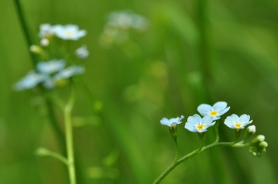 DSC_1788_5606.JPG - small