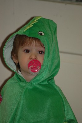 DSC_0028.JPG - small