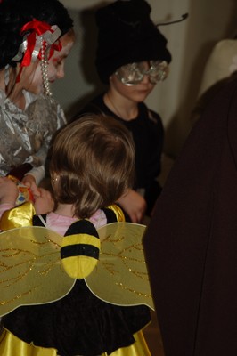 DSC_0082.JPG - small