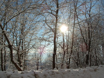 200501 050.jpg - small