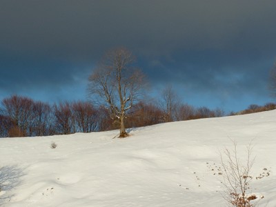 200501 057.jpg - small