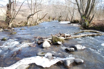 DSC_0083.jpg - small