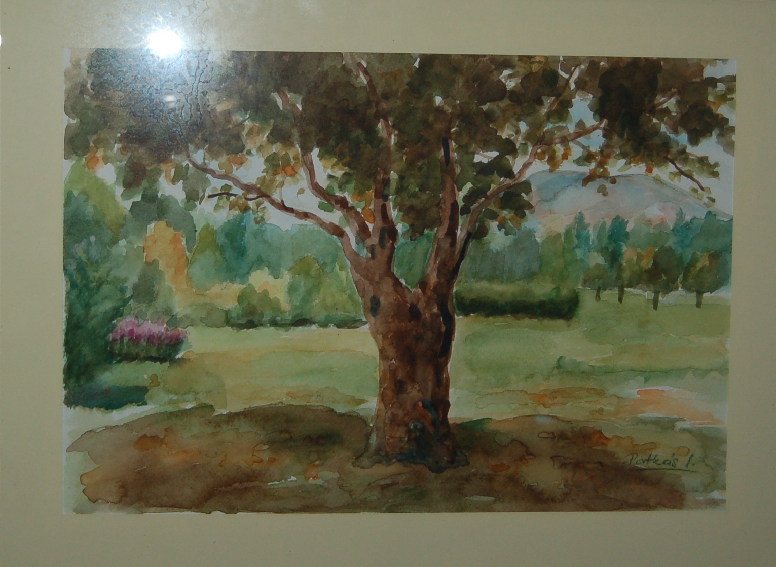 Magányos fa 1_akvarell- 6 000 Ft.jpg