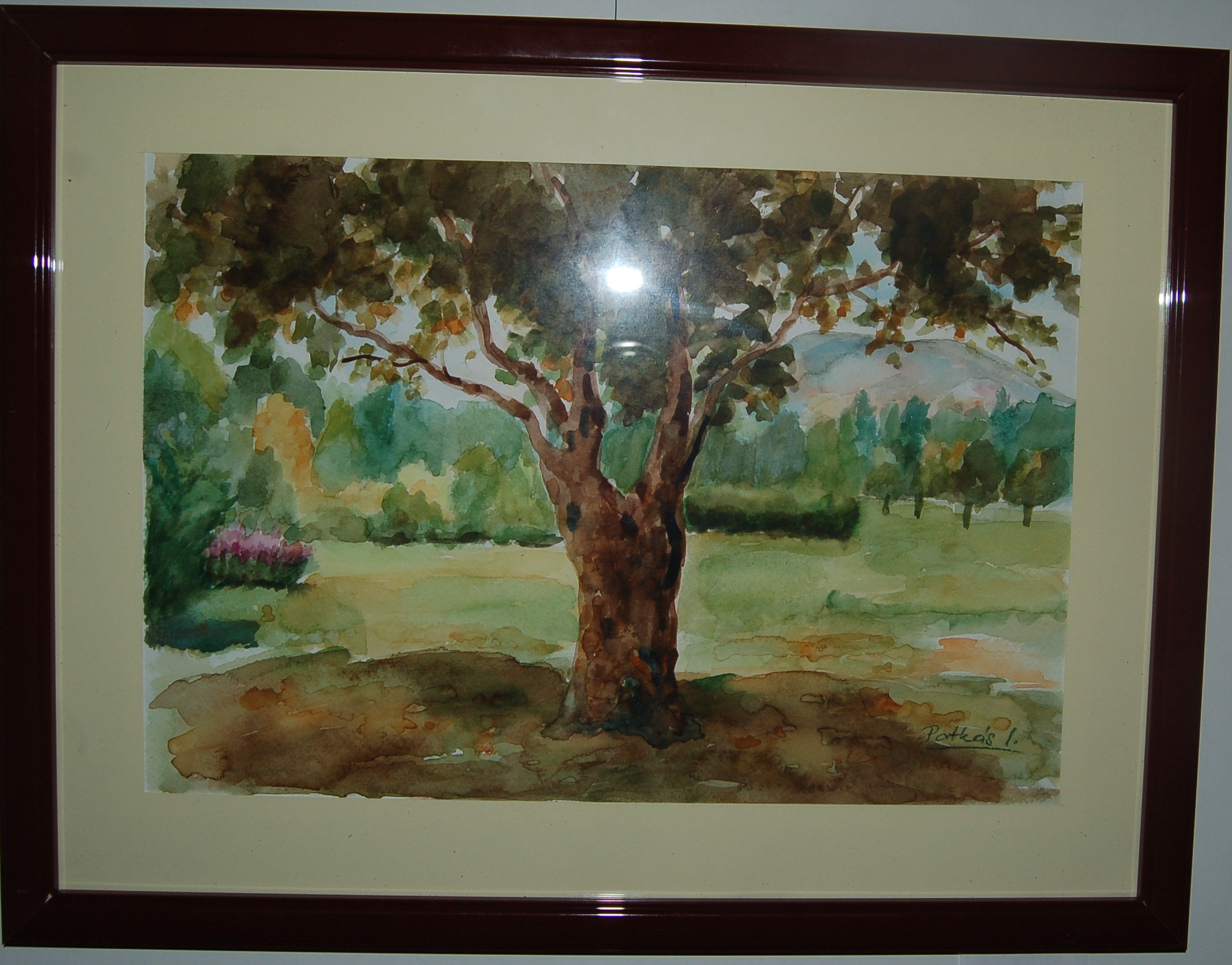 Magányos fa 2_akvarell- 6 000 Ft.jpg