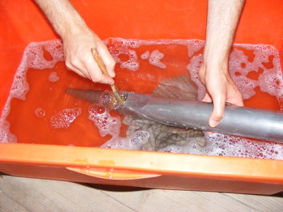 Kép 071.jpg - small